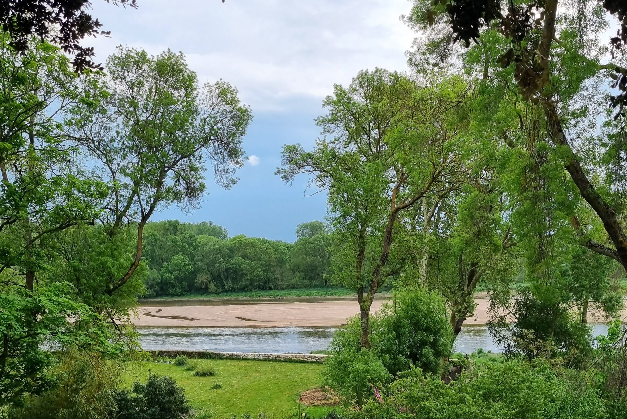 Bords de Loire vus depuis un jardin arboré