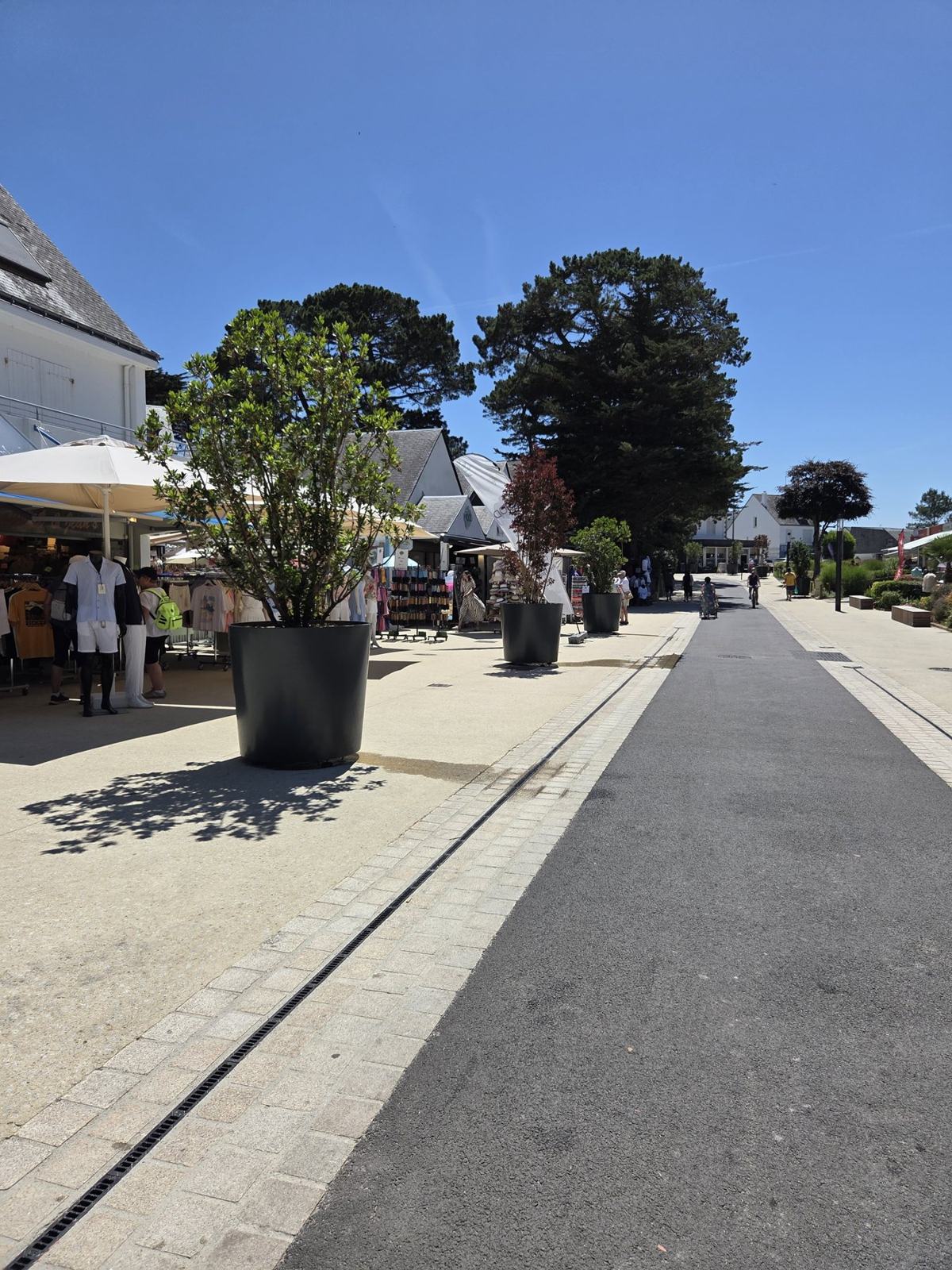 Avenue Miln