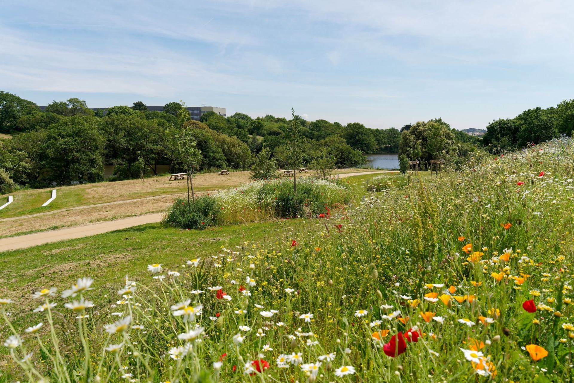 Parc sportif paysager du Val Saint-Martin