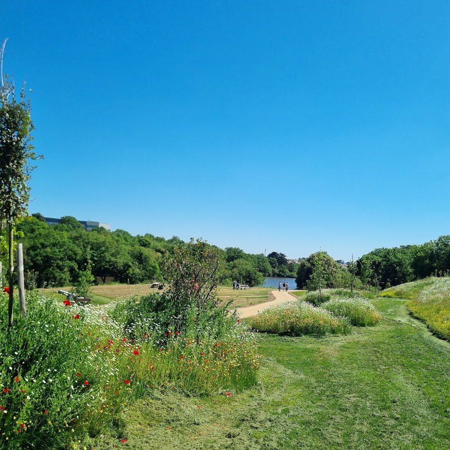 Parc sportif paysager